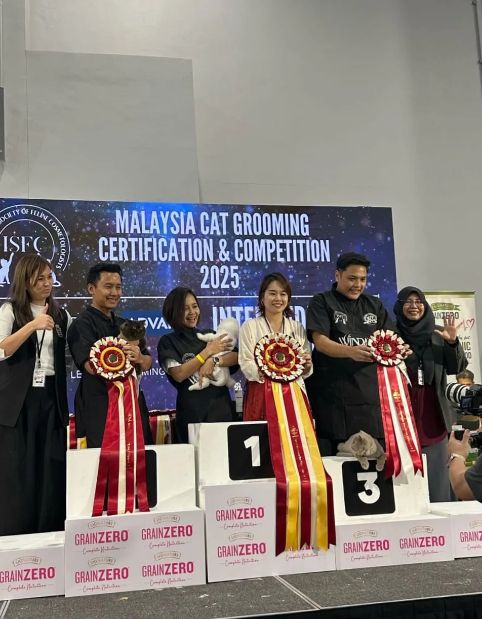 Cat Grooming Competition Award
